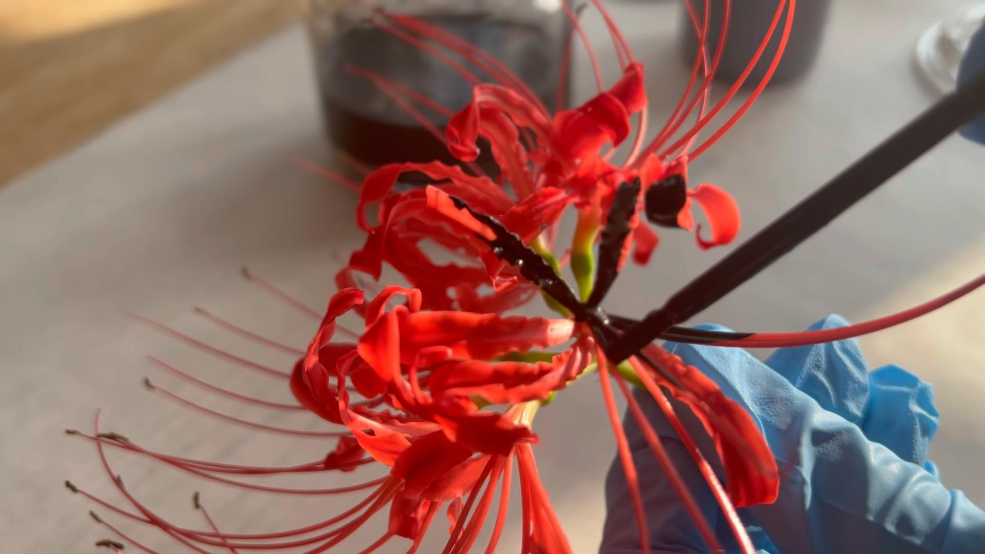 自然とジュエリー